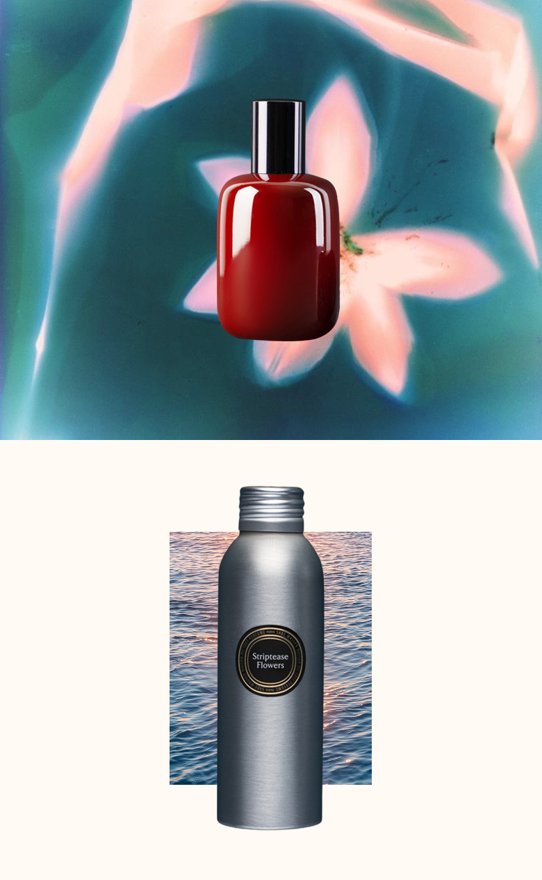 LE COFFRET SENTIENT